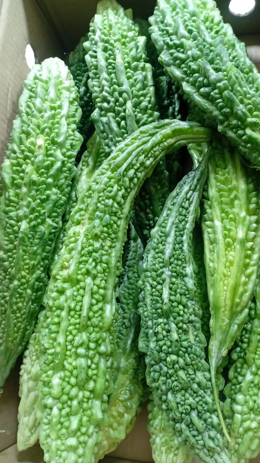 Karala