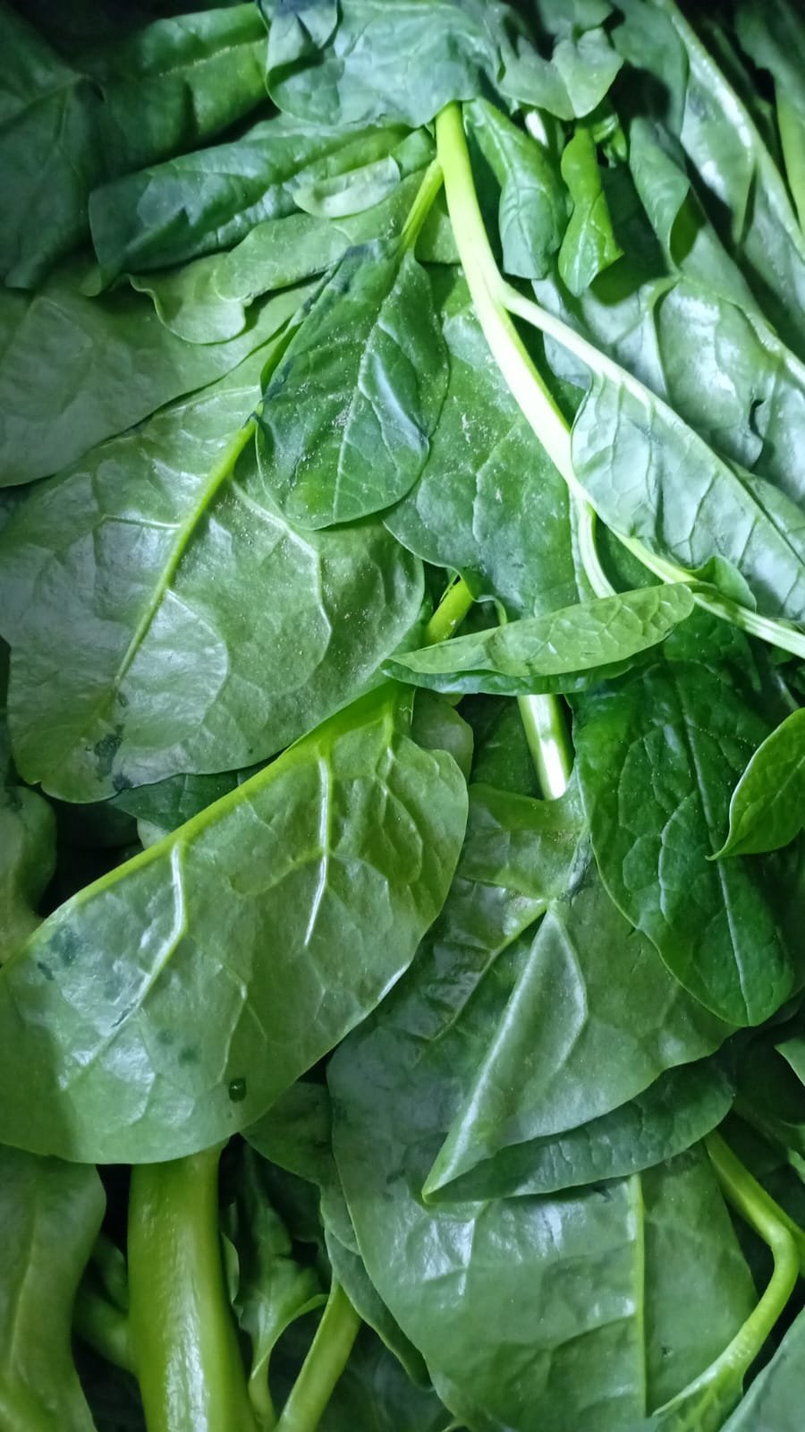 Nagati
